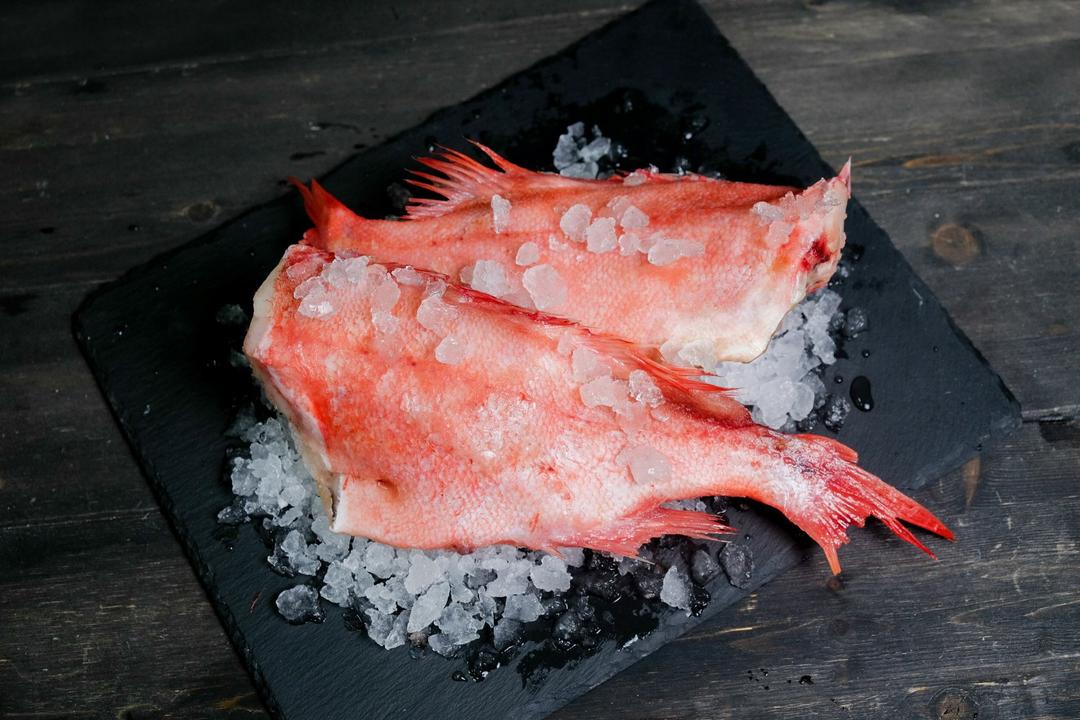 Морской окунь